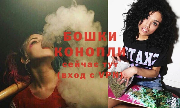 ПСИЛОЦИБИНОВЫЕ ГРИБЫ Покров