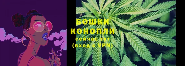 ПСИЛОЦИБИНОВЫЕ ГРИБЫ Покров