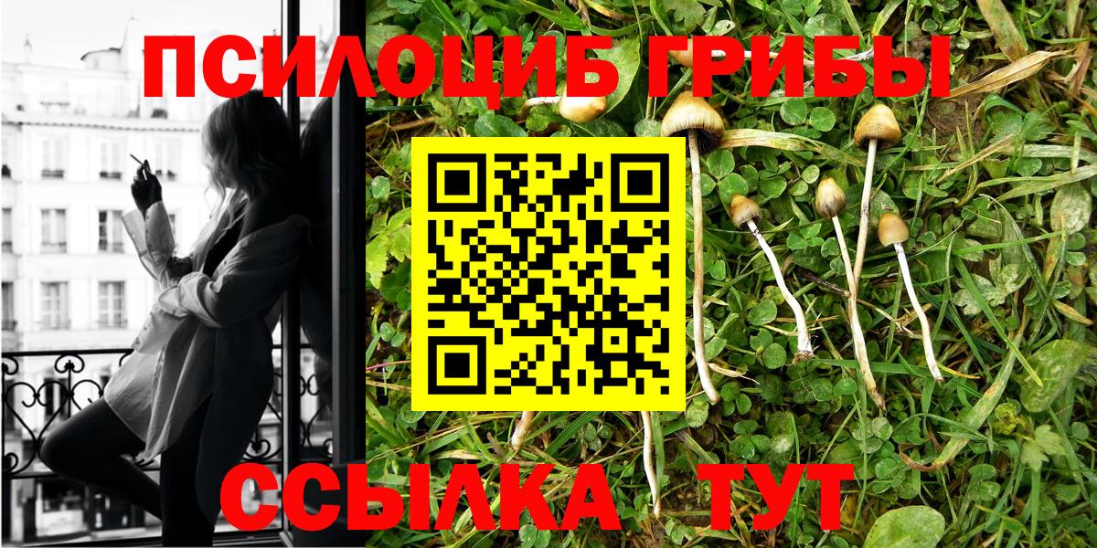 Галлюциногенные грибы Psilocybe  Галлюциногенные грибы Magic Shrooms  Пыть-Ях 